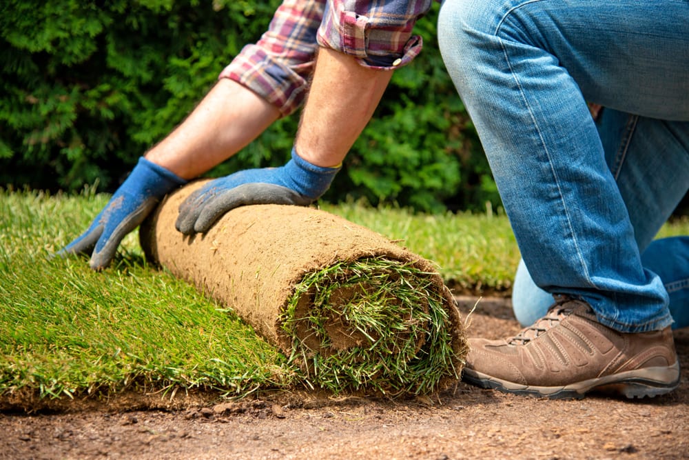 Nashville Sod Company